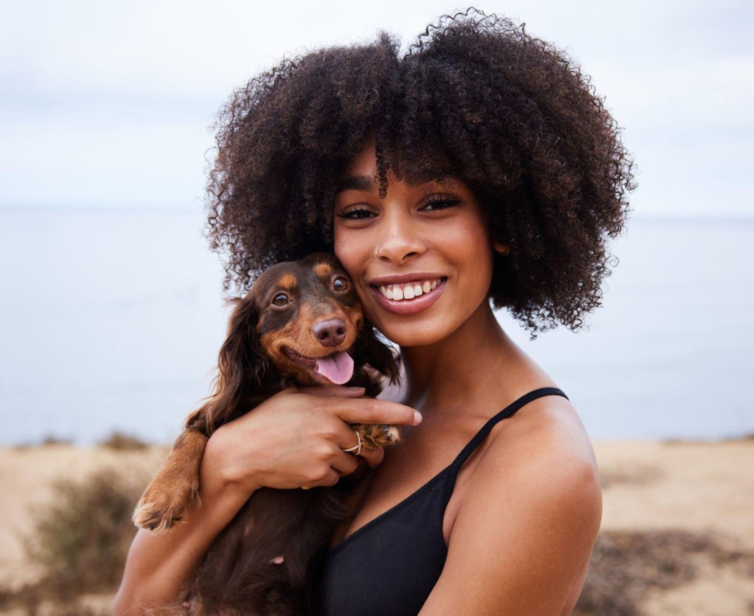 Why Dachshunds Are the Worst Breed? – (Pros & Cons) 2 Pros of Dachshund Ownership